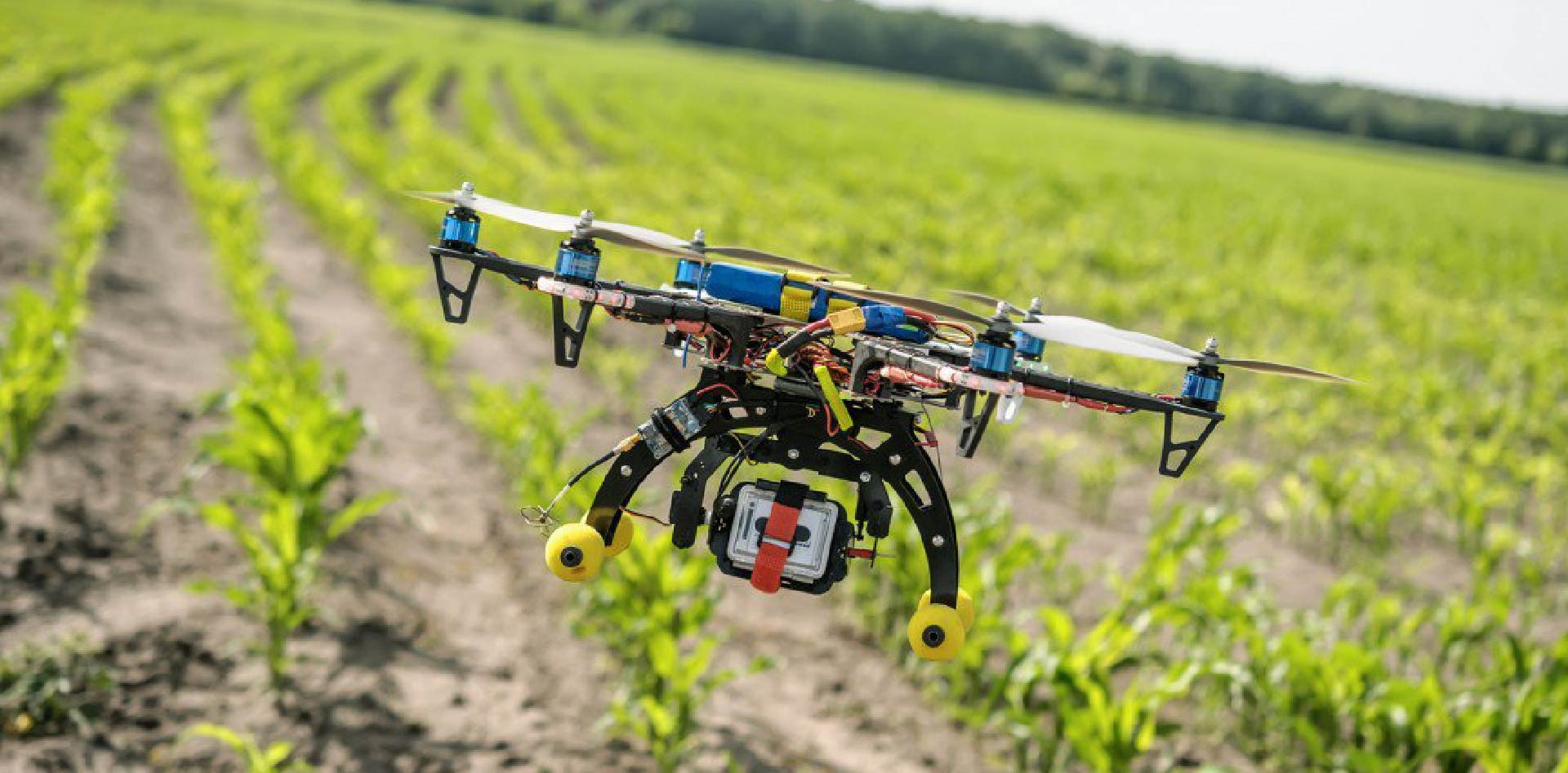 flying drone in agriculture land